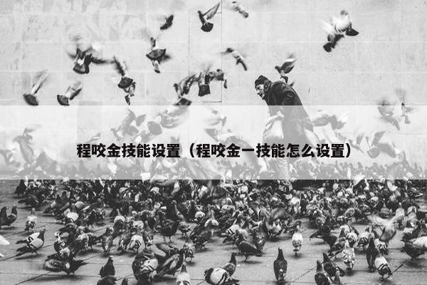 程咬金技能设置（程咬金一技能怎么设置）