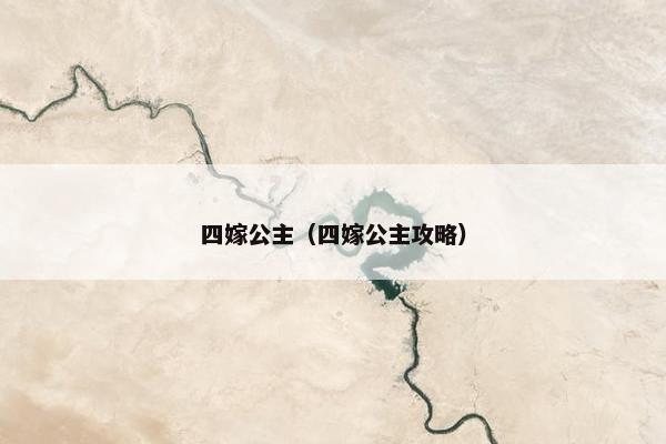 四嫁公主（四嫁公主攻略）