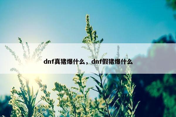 dnf真猪爆什么，dnf假猪爆什么