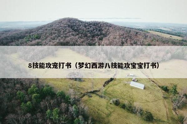 8技能攻宠打书（梦幻西游八技能攻宝宝打书）