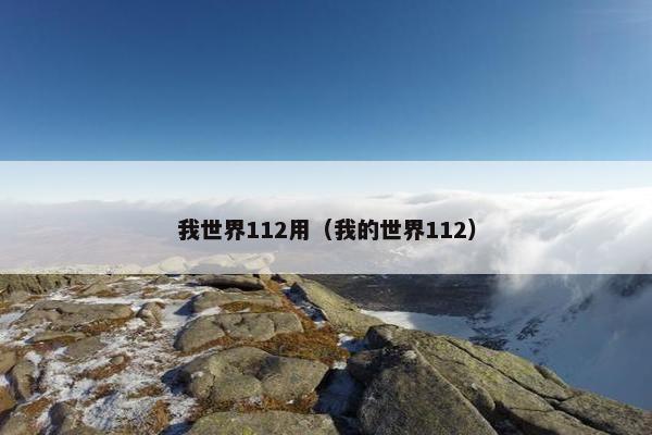 我世界112用（我的世界112）