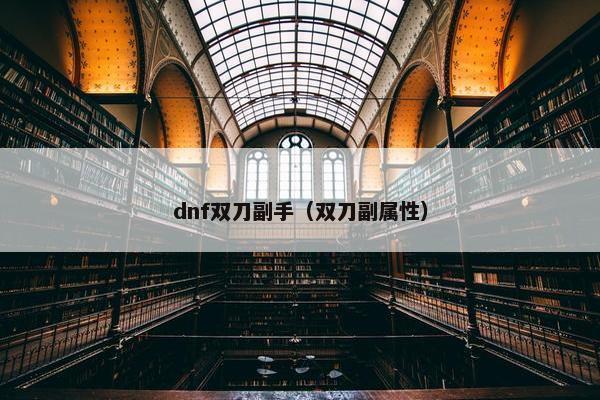 dnf双刀副手（双刀副属性）