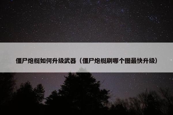 僵尸炮艇如何升级武器（僵尸炮艇刷哪个图最快升级）