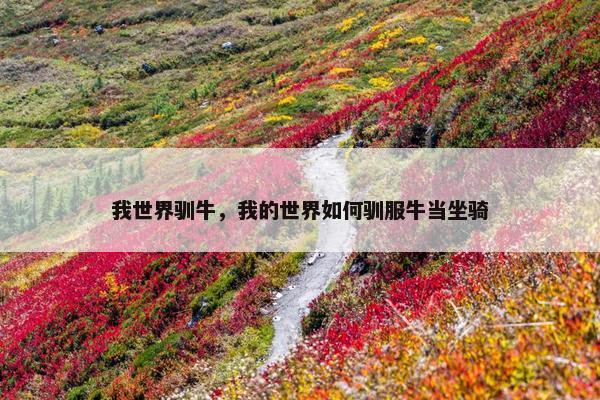 我世界驯牛，我的世界如何驯服牛当坐骑