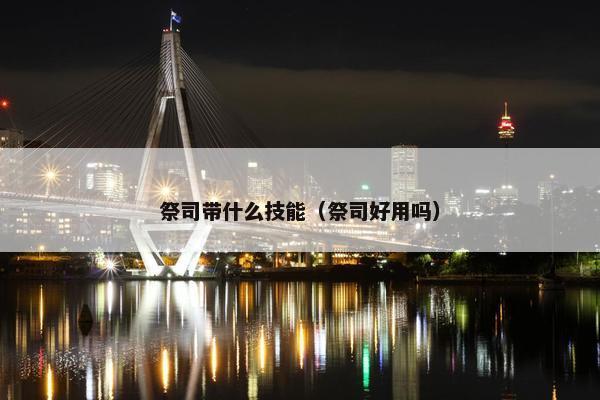 祭司带什么技能（祭司好用吗）