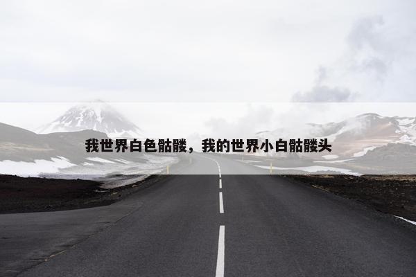 我世界白色骷髅，我的世界小白骷髅头