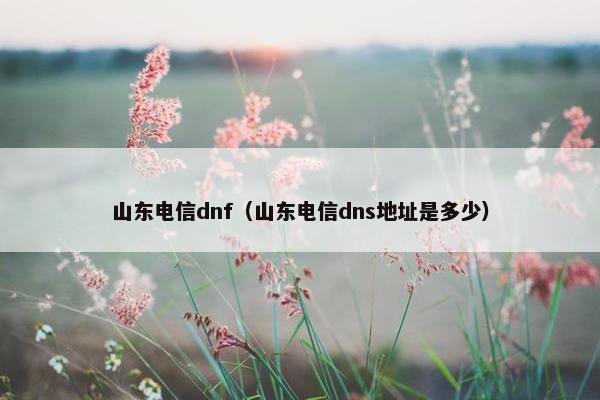 山东电信dnf（山东电信dns地址是多少）