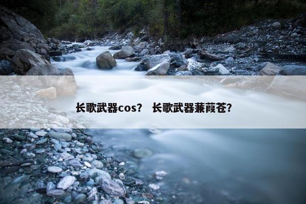 长歌武器cos？ 长歌武器蒹葭苍？