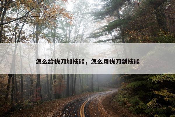怎么给拔刀加技能，怎么用拔刀剑技能