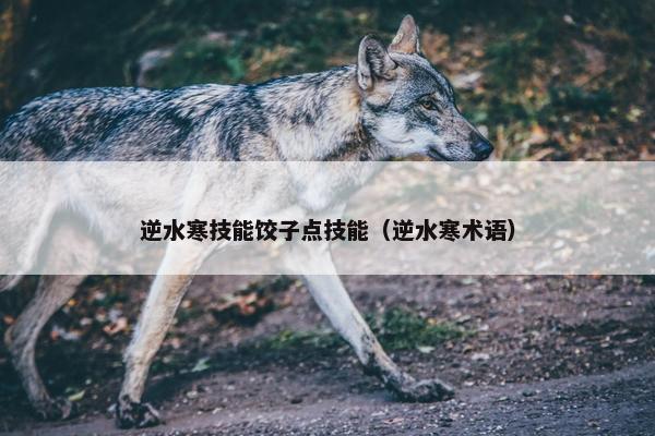 逆水寒技能饺子点技能（逆水寒术语）