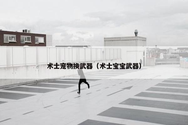 术士宠物换武器（术士宝宝武器）