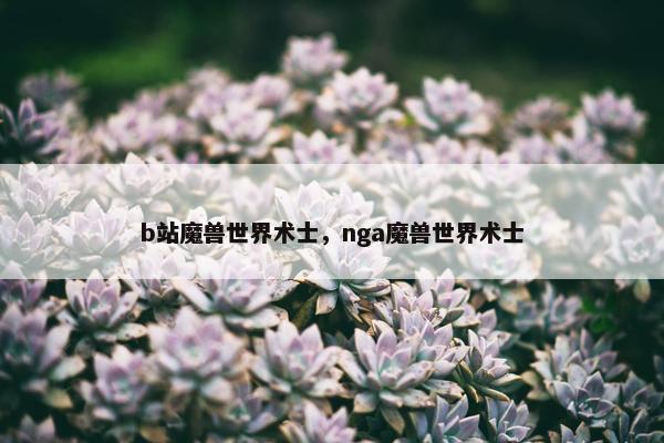 b站魔兽世界术士，nga魔兽世界术士