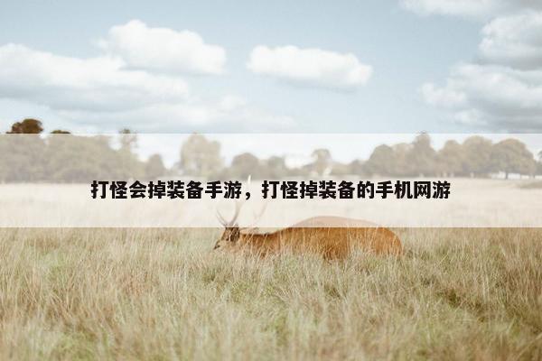 打怪会掉装备手游，打怪掉装备的手机网游