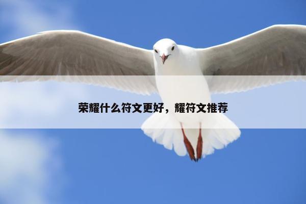 荣耀什么符文更好，耀符文推荐