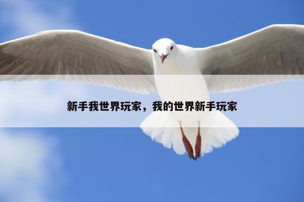 新手我世界玩家，我的世界新手玩家