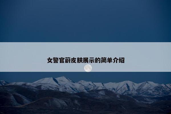 女警官蔚皮肤展示的简单介绍