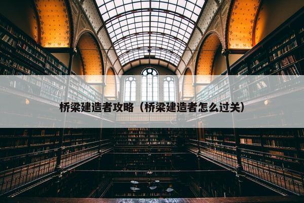 桥梁建造者攻略（桥梁建造者怎么过关）