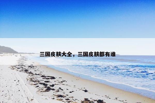 三国皮肤大全，三国皮肤都有谁