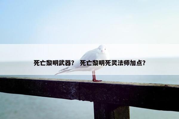 死亡黎明武器？ 死亡黎明死灵法师加点？