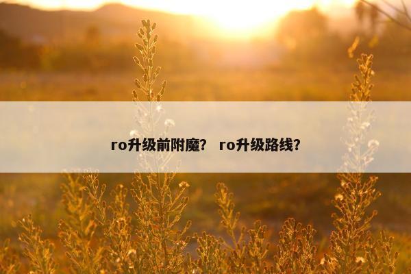 ro升级前附魔？ ro升级路线？
