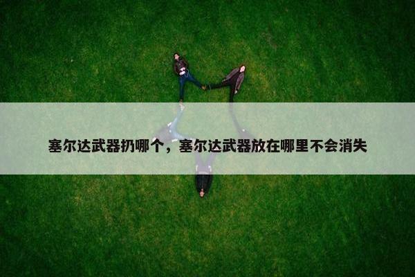 塞尔达武器扔哪个，塞尔达武器放在哪里不会消失