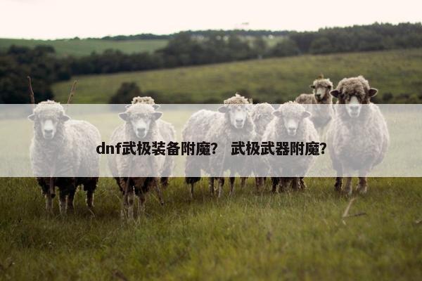 dnf武极装备附魔？ 武极武器附魔？