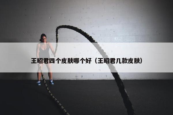 王昭君四个皮肤哪个好（王昭君几款皮肤）