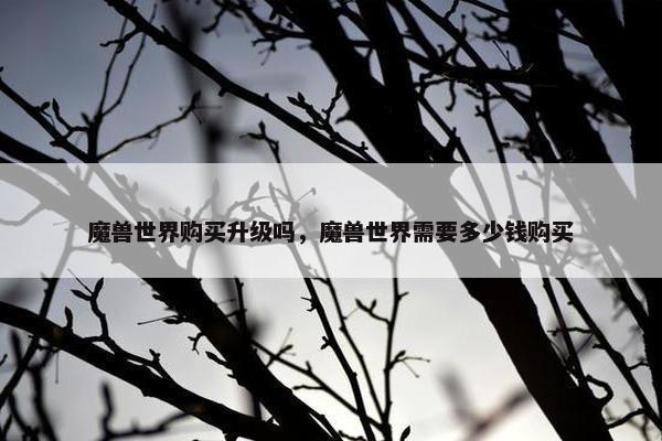 魔兽世界购买升级吗，魔兽世界需要多少钱购买