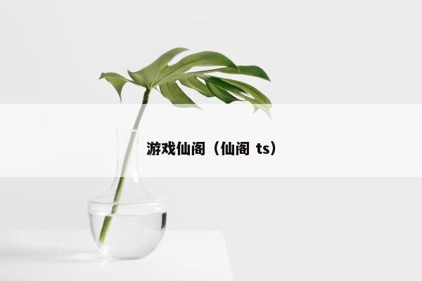 游戏仙阁（仙阁 ts）