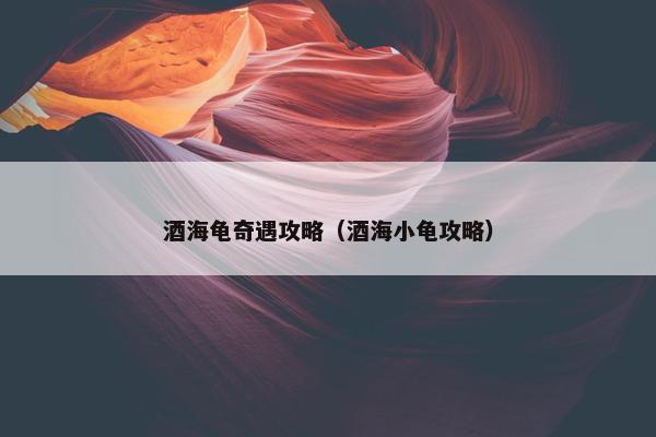 酒海龟奇遇攻略（酒海小龟攻略）