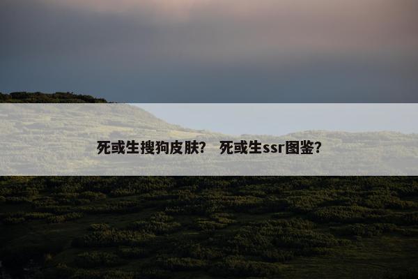 死或生搜狗皮肤？ 死或生ssr图鉴？