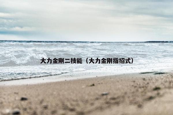 大力金刚二技能（大力金刚指招式）