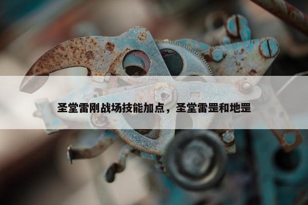 圣堂雷刚战场技能加点，圣堂雷罡和地罡