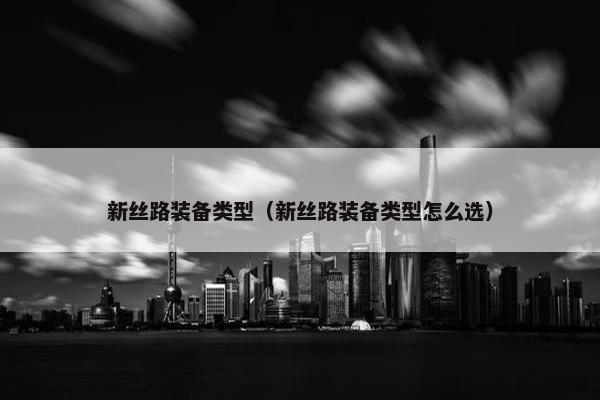 新丝路装备类型（新丝路装备类型怎么选）