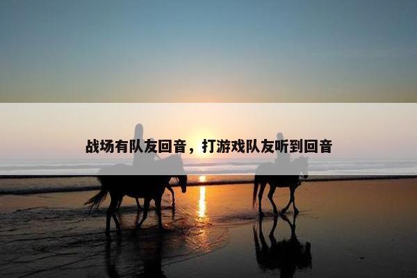 战场有队友回音，打游戏队友听到回音