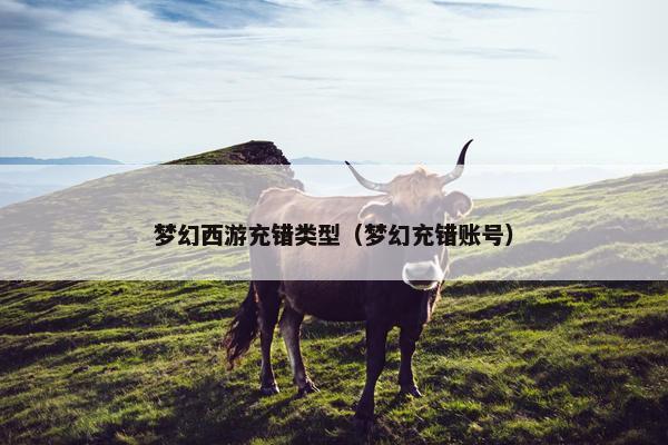 梦幻西游充错类型（梦幻充错账号）