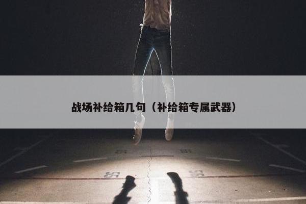 战场补给箱几句（补给箱专属武器）