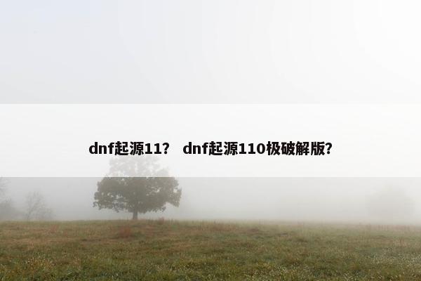 dnf起源11？ dnf起源110极破解版？