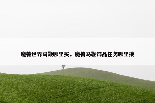 魔兽世界马鞭哪里买，魔兽马鞭饰品任务哪里接