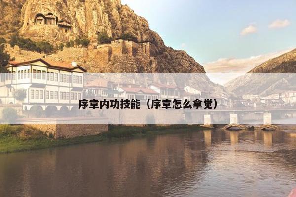 序章内功技能（序章怎么拿觉）