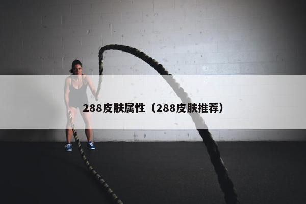 288皮肤属性（288皮肤推荐）