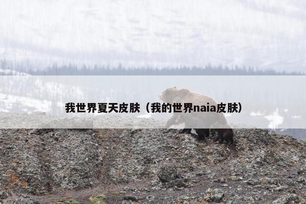 我世界夏天皮肤（我的世界naia皮肤）