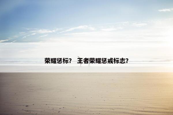 荣耀惩标？ 王者荣耀惩戒标志？