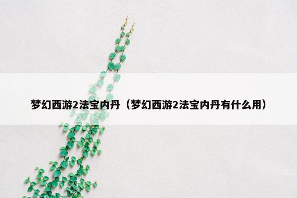 梦幻西游2法宝内丹（梦幻西游2法宝内丹有什么用）