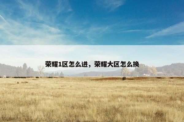 荣耀1区怎么进，荣耀大区怎么换