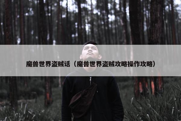 魔兽世界盗贼话（魔兽世界盗贼攻略操作攻略）