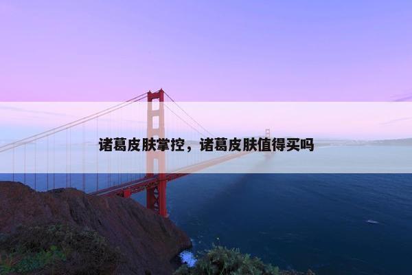 诸葛皮肤掌控，诸葛皮肤值得买吗