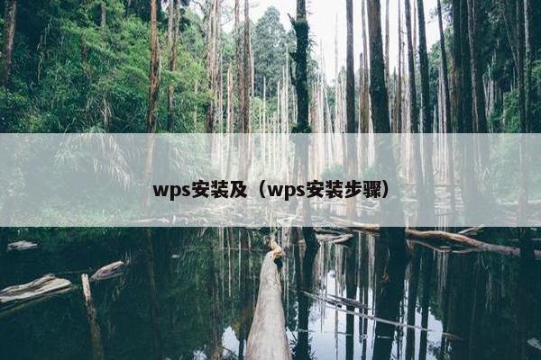 wps安装及（wps安装步骤）