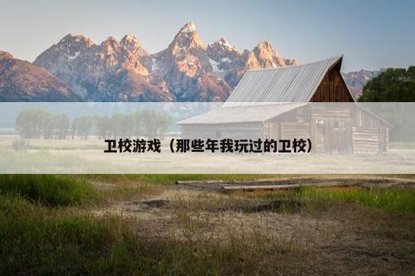 卫校游戏（那些年我玩过的卫校）