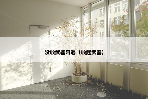 没收武器奇遇（收起武器）